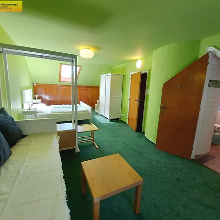Alpenrock Apartmán Bad Mitterndorf